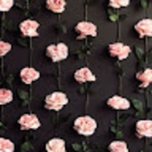 Meet your Posher, Nataly